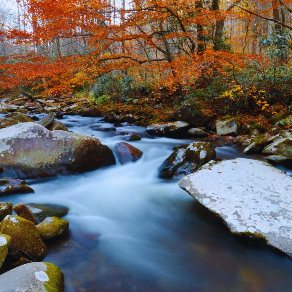 smoky mountains river